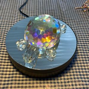 Beautiful crystal turtle